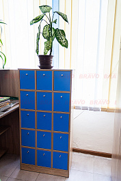 ���� "���������"